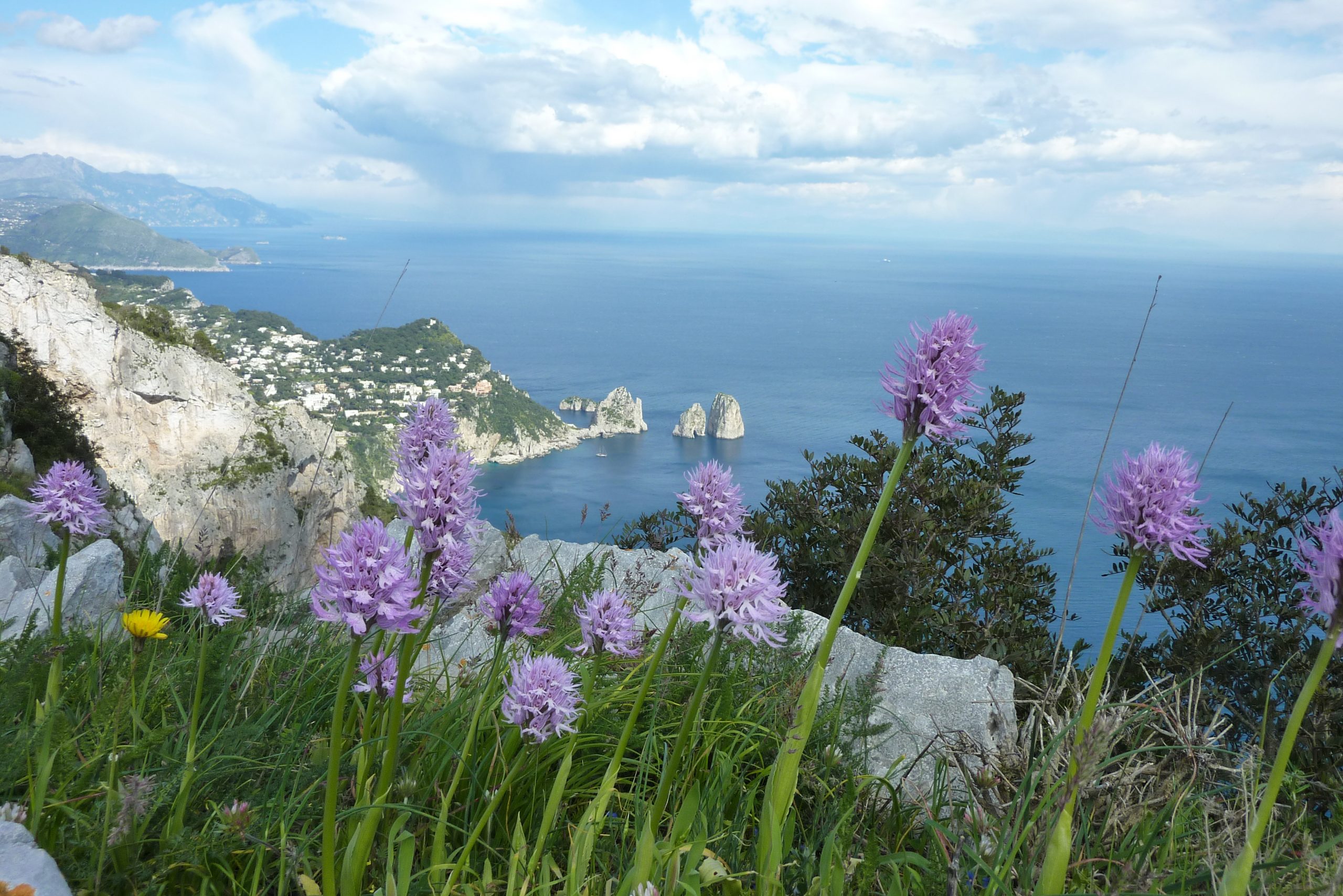 Hengityksen vuodenajat