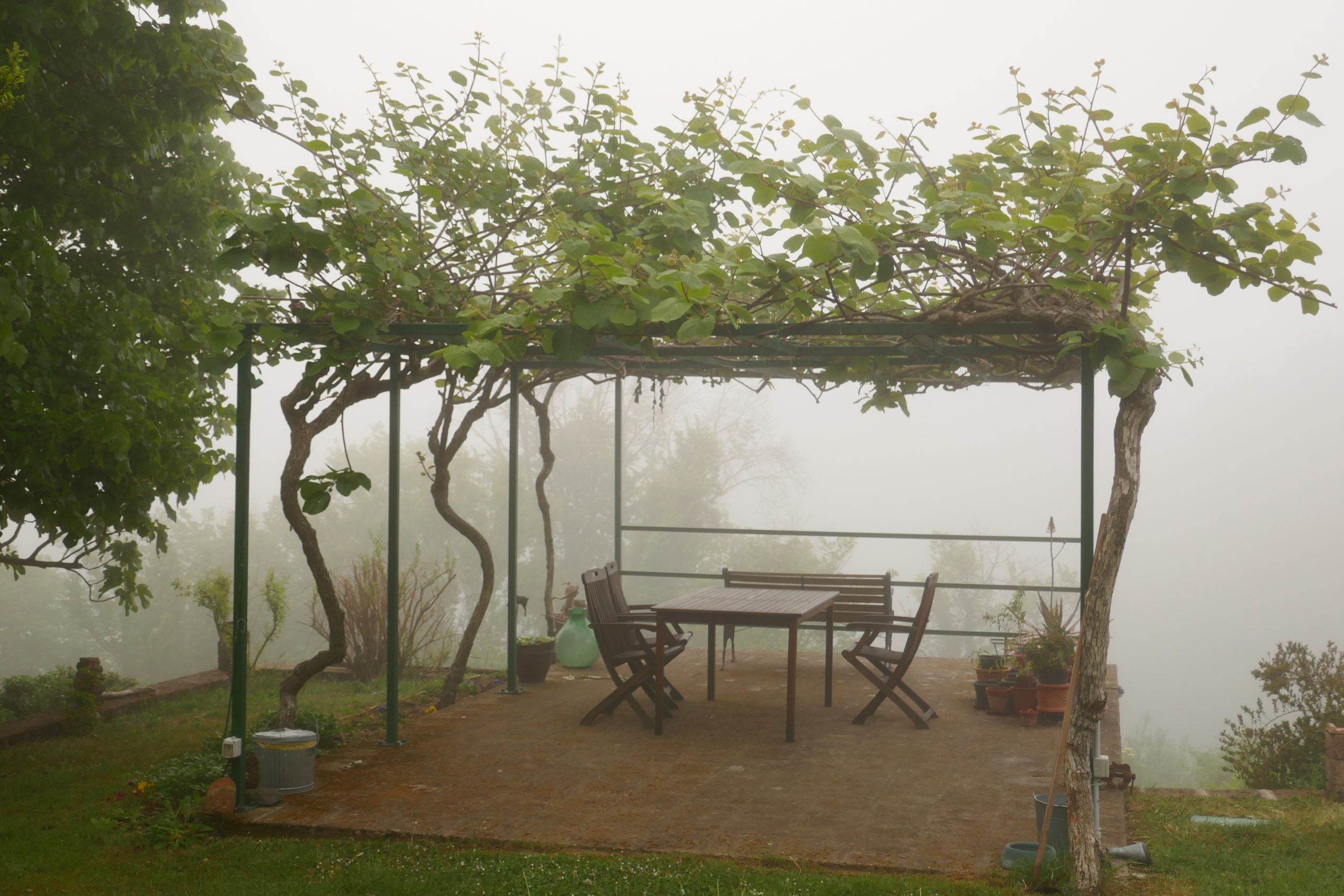 Korona ja perhe-elämä