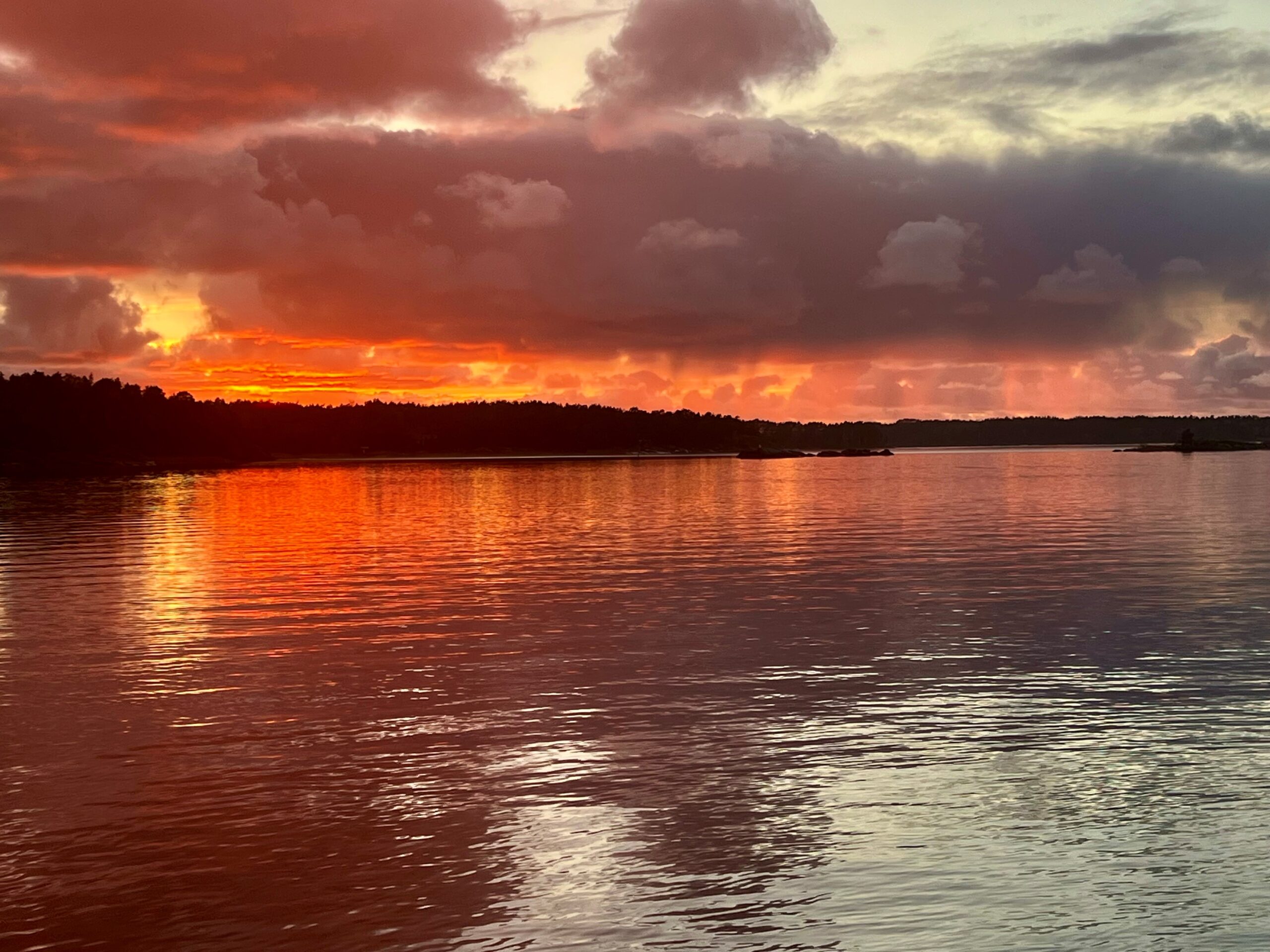Veden kieli tunteissa ja suhteissa